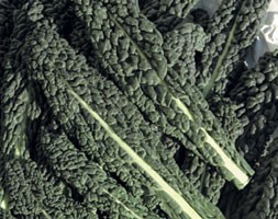 kale