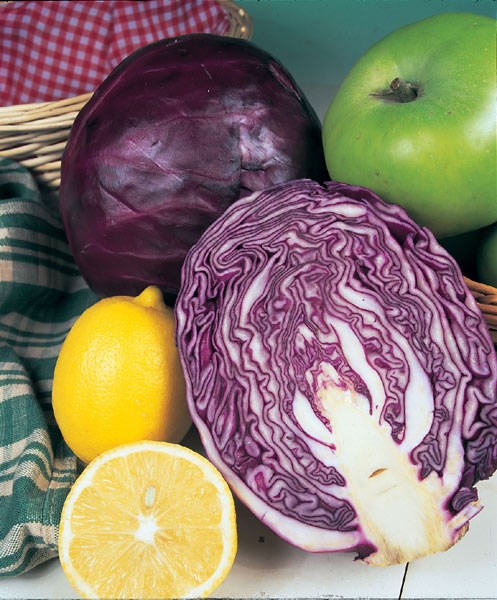 cabbage cabbage