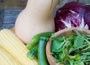 vegetable plug plant collection
