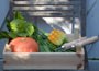 vegetable plug plant collection