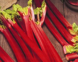 rhubarb Strawberry crowns
