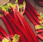 rhubarb