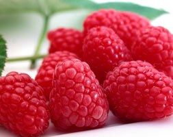 raspberry 'Tadmoor' (PBR) (raspberry - autumn fruiting)