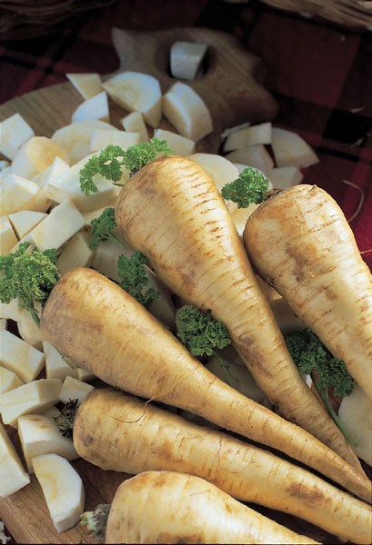 parsnip parsnip