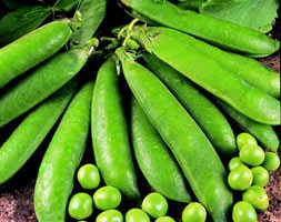 pea