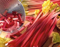 rhubarb