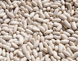 cannellini bean