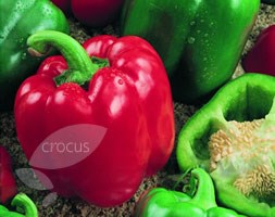 sweet pepper