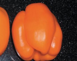 sweet pepper