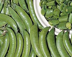 sugarsnap pea