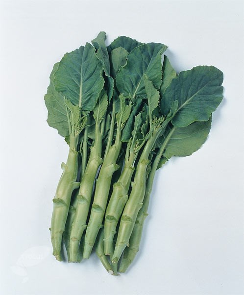 Chinese broccoli ( Kai Ian) Chinese broccoli ( Kai Ian)