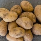 potato Swift