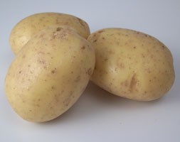 potato 'Vales Emerald' (potato - first early, Scottish basic seed potato)