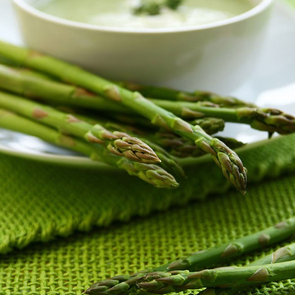asparagus crowns Guelph Millennium F1 hybrid