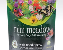 Mini wildflower meadow
