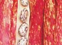Borlotti bean