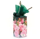 Rose Gift Pack 'Gentle Hermione'