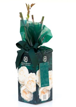 Rose gift Pack 'Lichfield Angel' ('Lichfield Angel' Gift Pack)