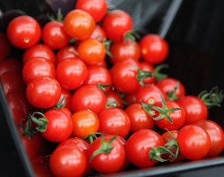 Tomato 'Sweet Aperitif' (cherry tomato)