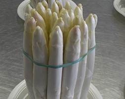 asparagus 'Vittorio' (asparagus)