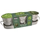 Zinc windowsill herb gift set