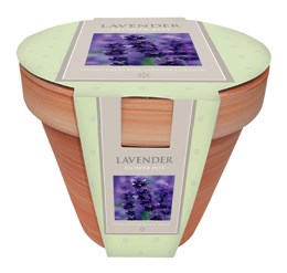 Lavender and flower pot gift set (Lavender and flower pot gift set)