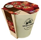 Tomato and enamel pot gift set