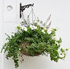 wire-hanging-basket