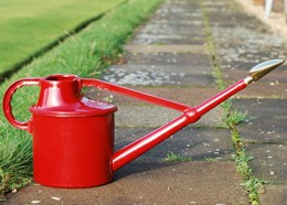 Haws red deluxe plastic watering can