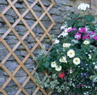 riveted-diamond-trellis