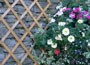 Riveted diamond trellis