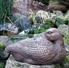 bronze-duck