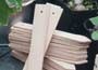 Image of: 25 Beech Plant Labels