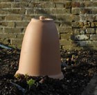 yorkshire-terracotta-rhubarb-forcer