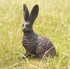 prairie-hare-bronze-hare