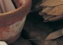 10 Copper Plant Labels