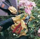 Thorn-Proof-Leather-Gauntlets - Product image.