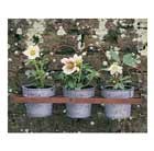 zinc pot wall hanger