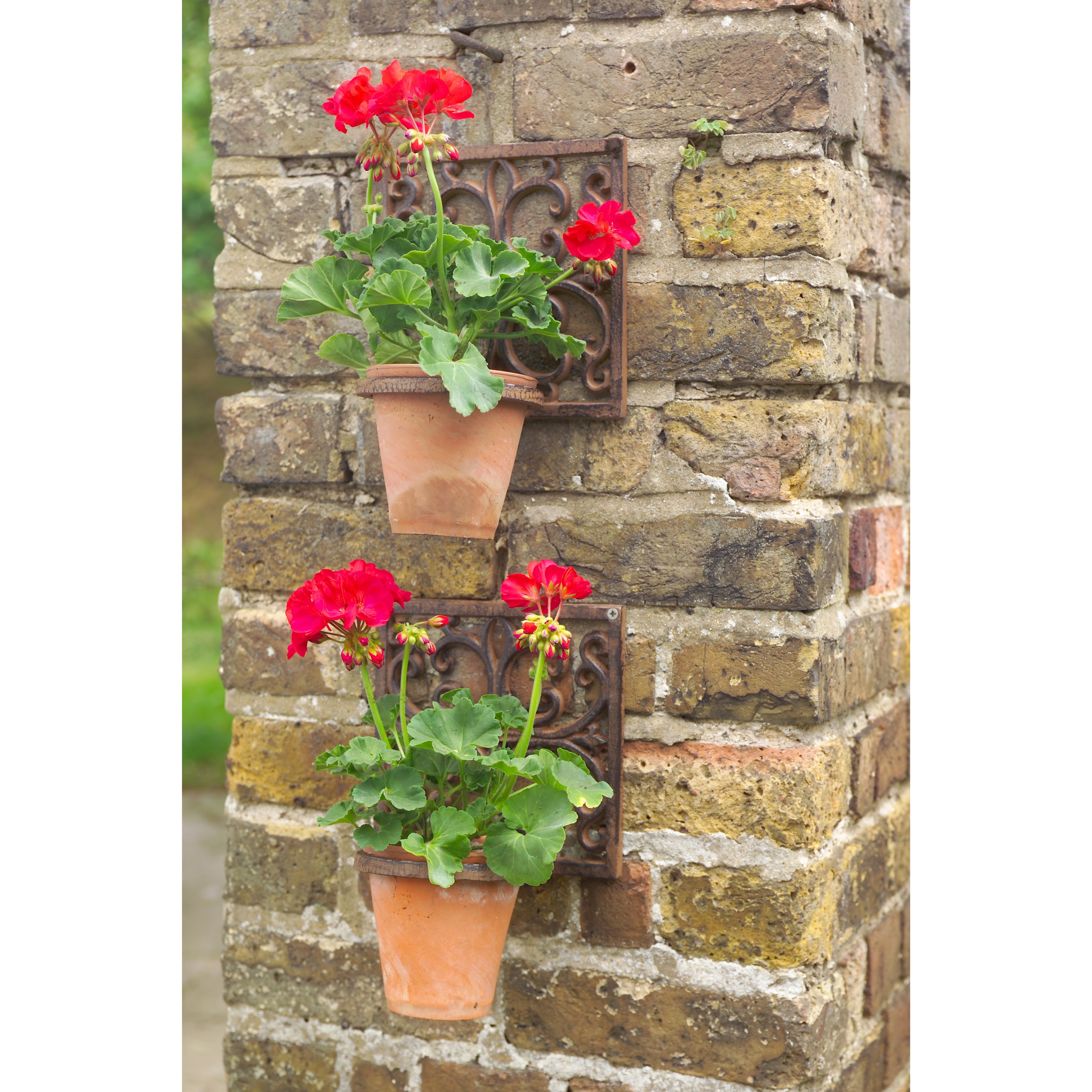 Buy Cast-iron pot holder (pair of): Delivery by Crocus.co.uk 