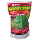 Canada Green Lawn Seed (500g)