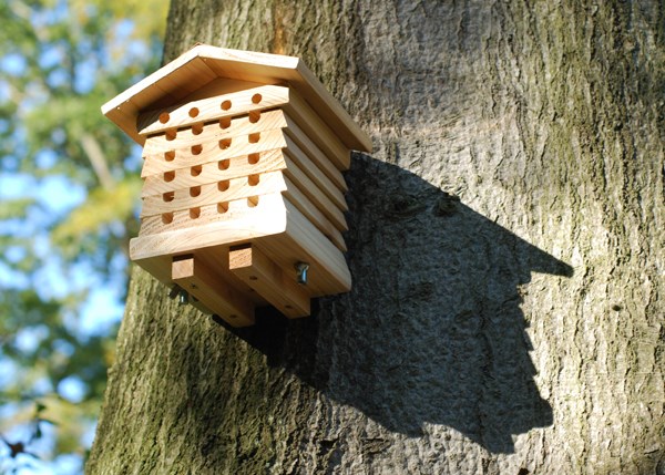 Solitary beehive habitat Solitary beehive habitat