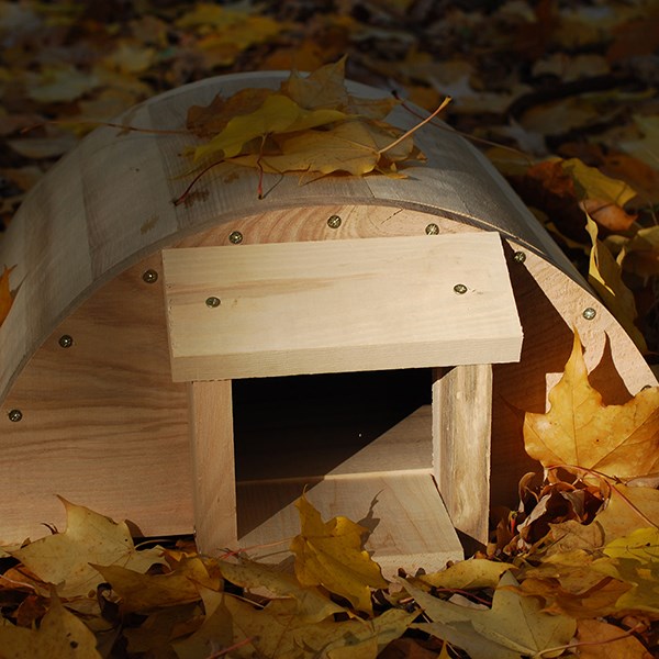 Hedgehog house Hedgehog house