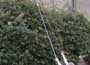 Am Tech Ratchet Tree Lopper and Saw