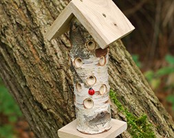 Ladybird tower