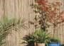Bamboo Screen Flat (Split Cane)