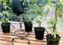 Easy watering system - big drippa watering Kit