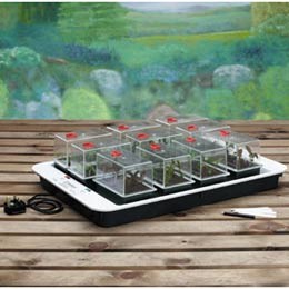 Electric propagator with 10 trays