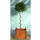 Large versailles planter box