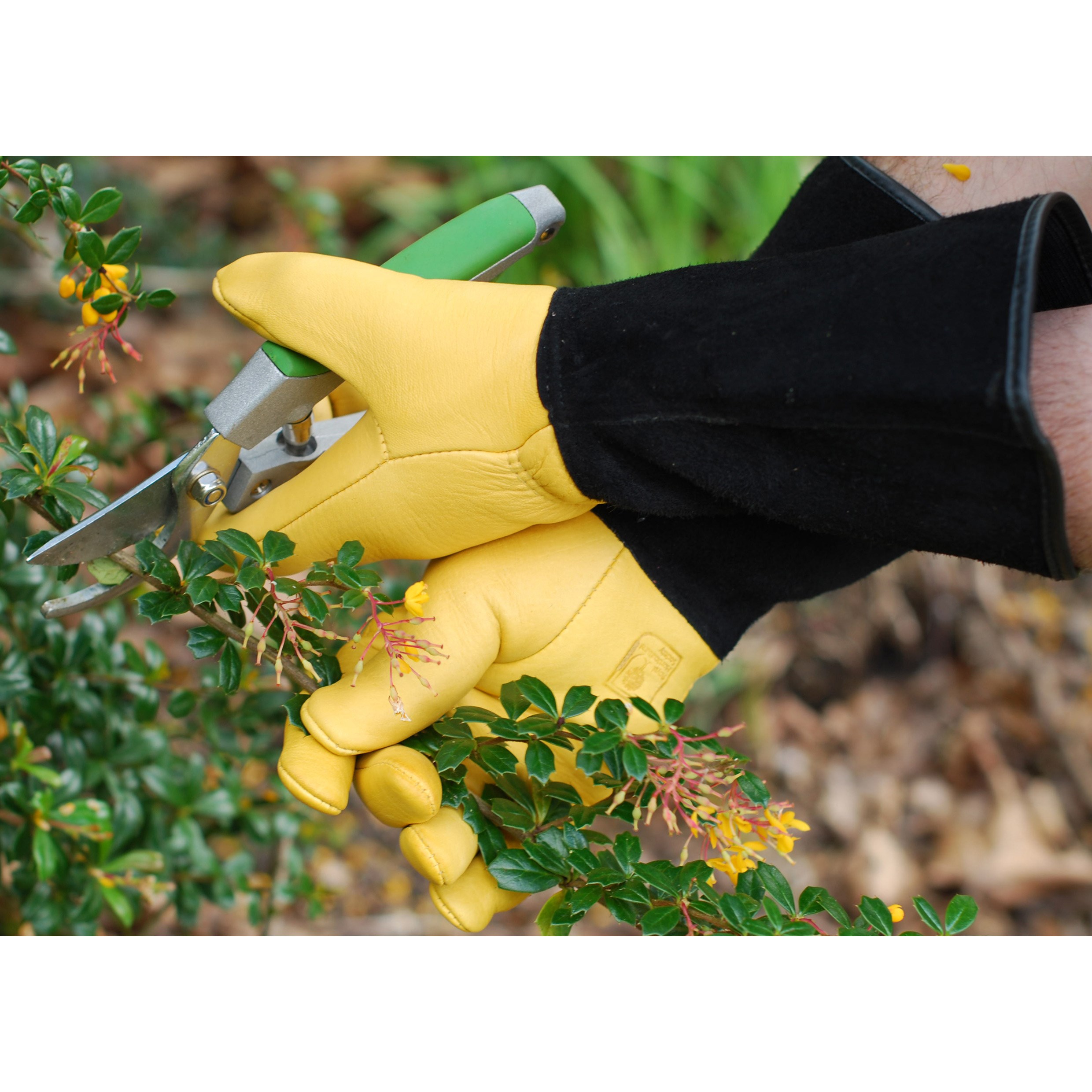 Gold leaf tough touch gloves