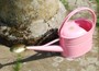Pink haws watering can
